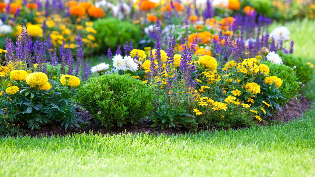Brasileiros estão adotando esse novo jeito de cuidar do jardim e o motivo é surpreendente