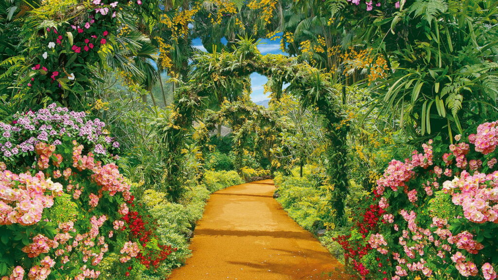 Evite erros comuns no jardim que podem custar a saúde das plantas