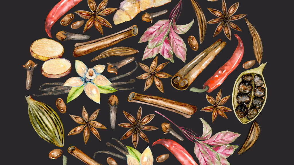 Dicas para montar um kit de temperos caseiros para churrasco