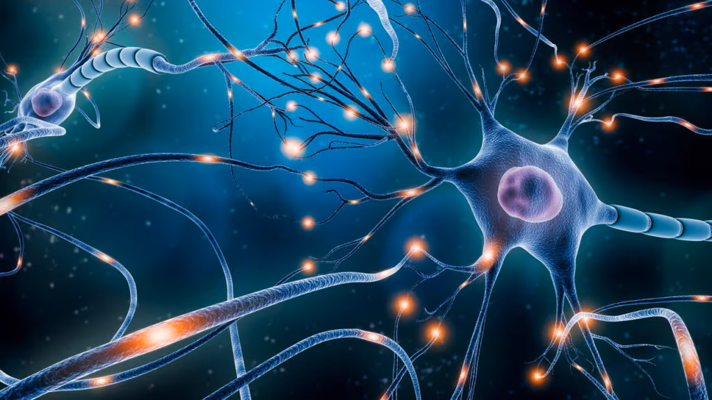 Os neurônios artificiais que podem substituir os reais para reparar o cérebro do Alzheimer