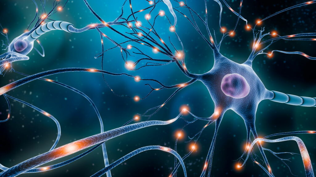 Os neurônios artificiais que podem substituir os reais para reparar o cérebro do Alzheimer