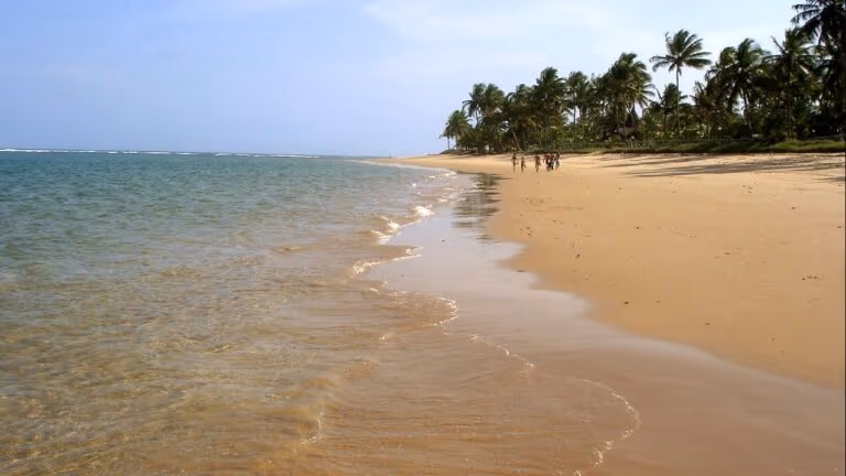 As praias mais intocadas do literal brasileiro que fogem da rota turística