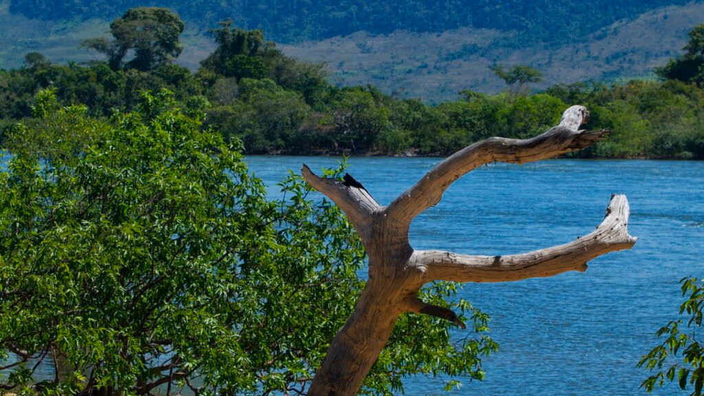 Barco autônomo com IA realiza o monitoramento do Rio Xingu