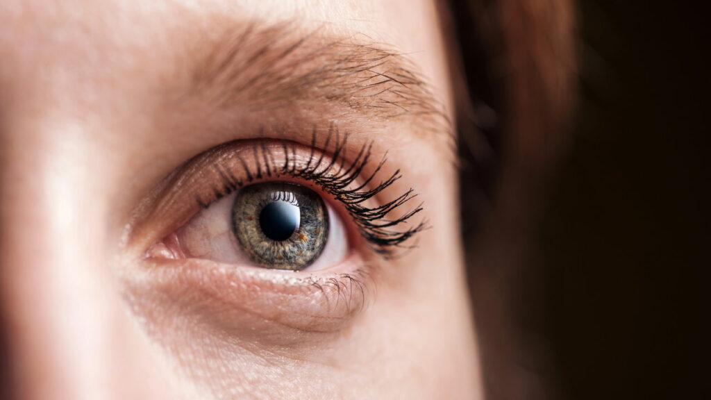 Os tipos de cores que seu cérebro ignora completamente