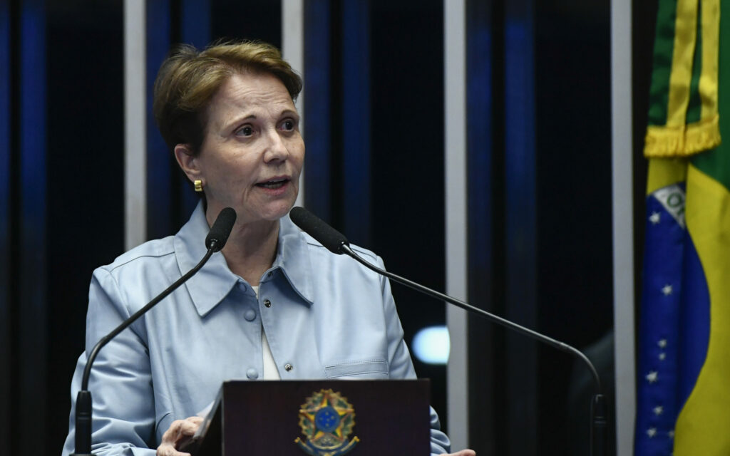 Tereza Cristina diz a aliados que aceitou ser vice de Flávio