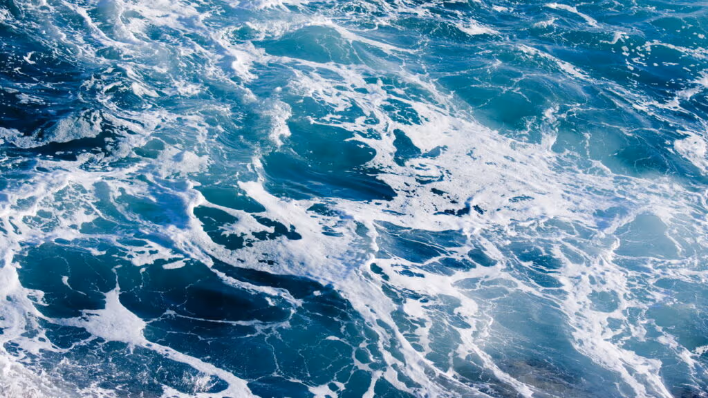 A pior anomalia dos oceanos em década assusta cientistas e liga alerta