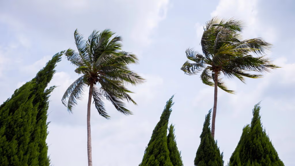 Alerta Inmet para riscos de vendaval nos dias 27 e 28, veja as regiões