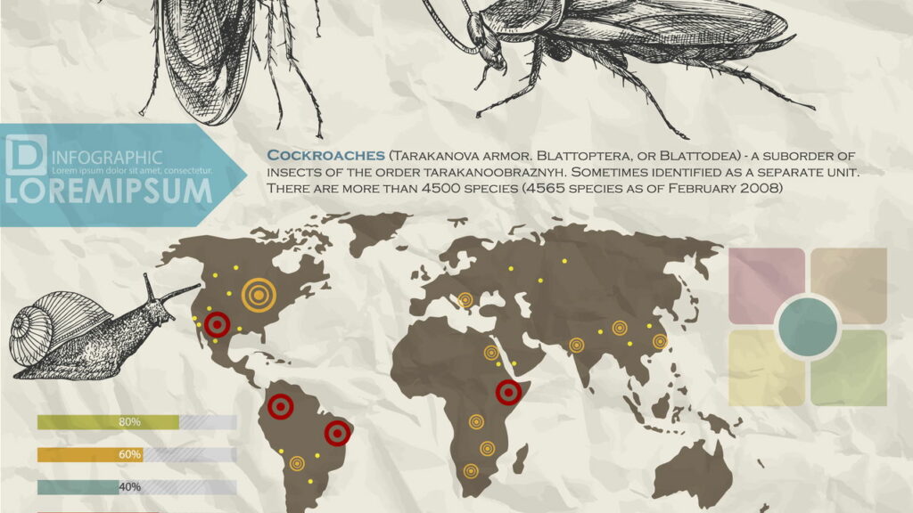 As baratas possuem alguma função no equilíbrio ambiental