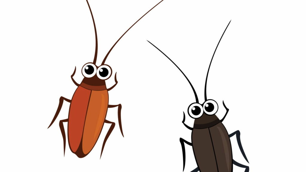 As baratas possuem alguma função no equilíbrio ambiental