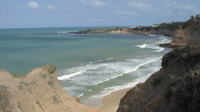 Imagem Item