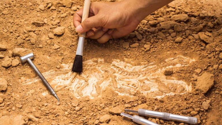 Cidade Perdida de 3,8 mil anos é descoberta no Peru
