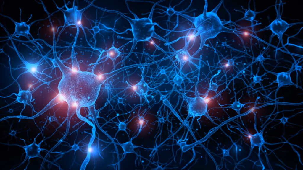 Computador que utiliza neurônios humanos chega ao mercado