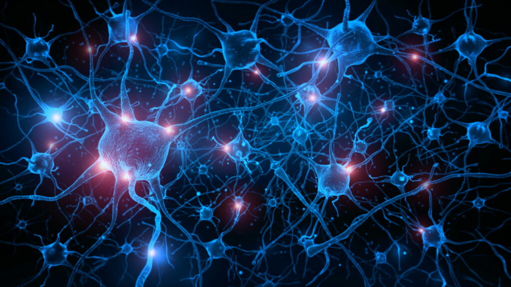 Computador que utiliza neurônios humanos chega ao mercado