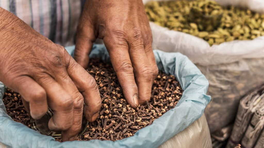 O tempero que melhora digestão, ajuda no controle da glicemia e ainda combina com doces e chás simples