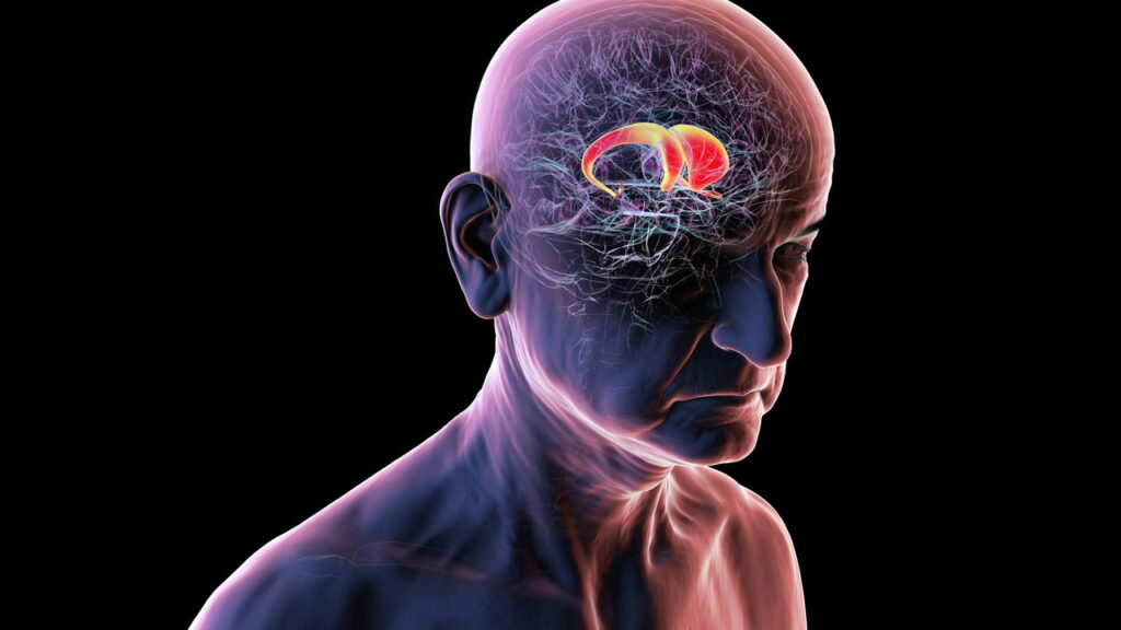 Declínio cognitivo pode ser identificado através de traços fala, segundo cientistas