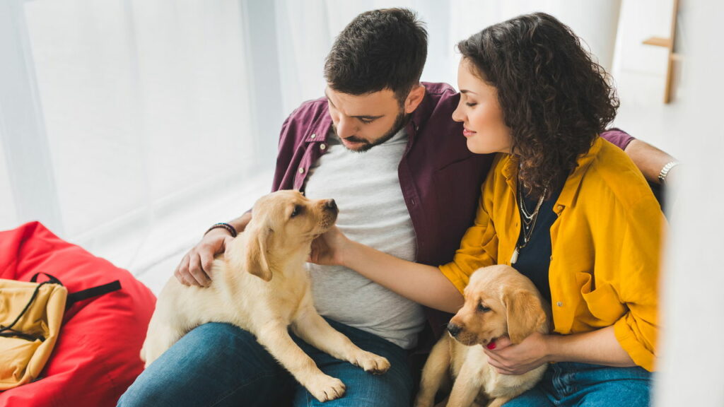 Donos de cachorros podem ser obrigados a passar 3 horas por dia com seus pet