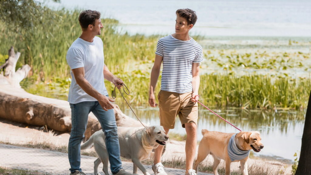 Donos de cachorros podem ser obrigados a passar 3 horas por dia com seus pet