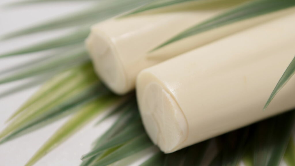 Esse alimento irá substituir a carne no futuro