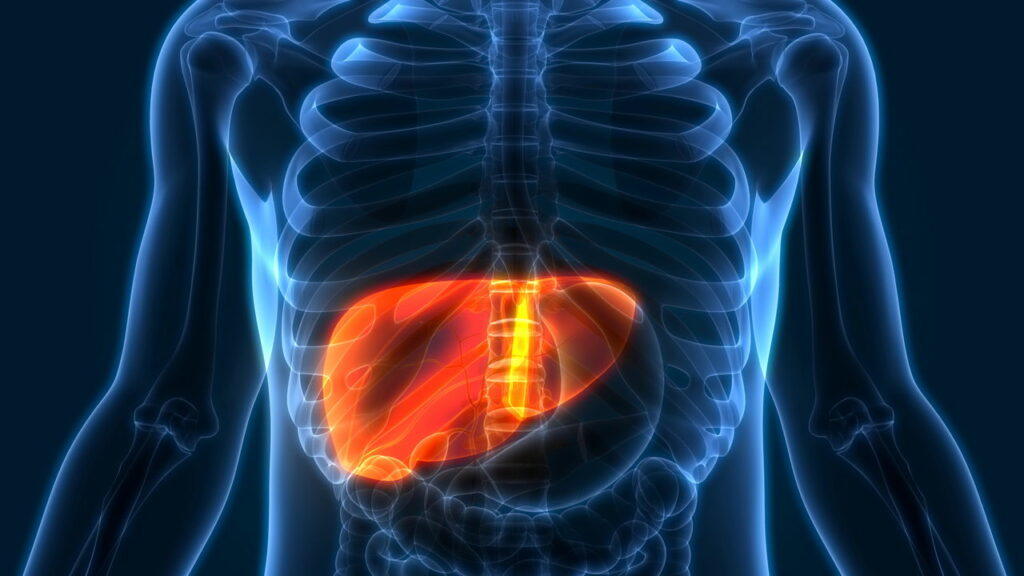 Hepatite A Tudo o que você precisa saber desde os sintomas até o tratamento