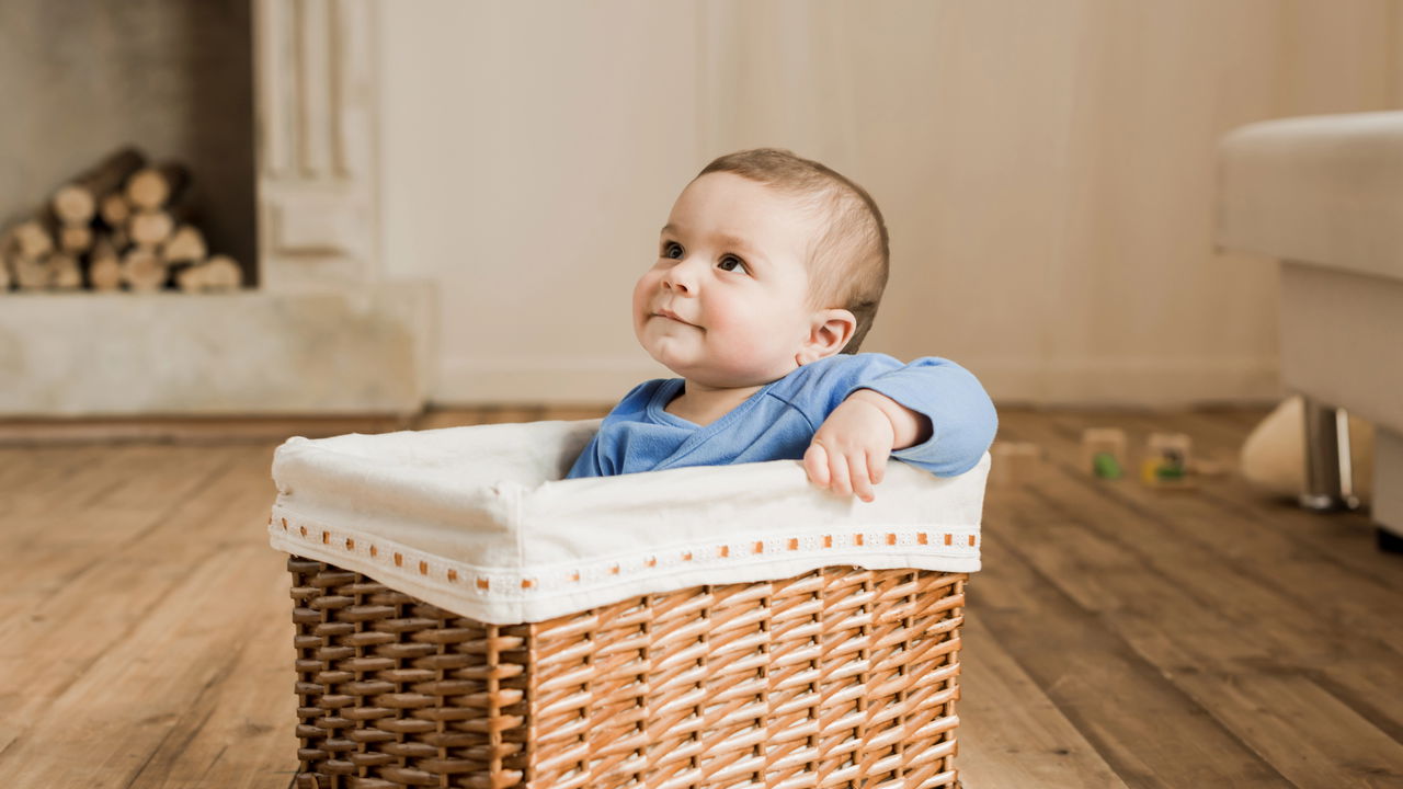 Esses nomes de plantas escondem delicadeza e frescor