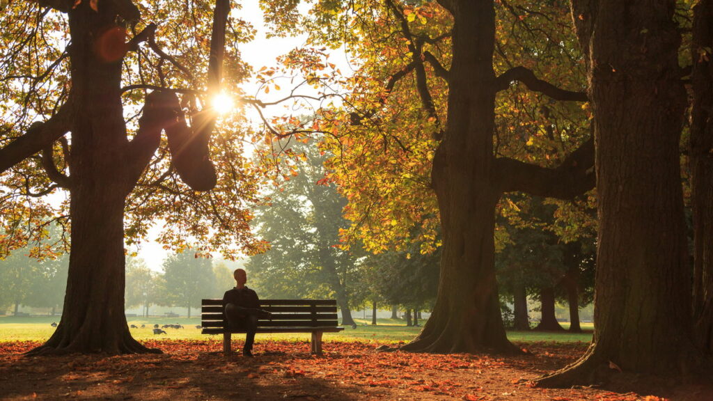 Neurociência aponta que principal característica de pessoas inteligentes como Bill Gates e Da Vinci não é o QI