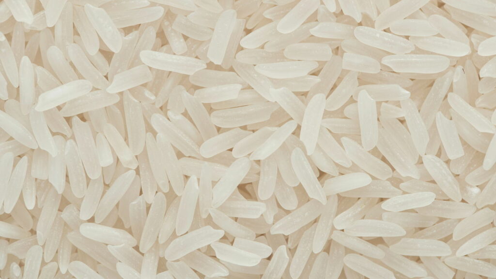 Seu arroz está cheio de bichos e você nem desconfia do motivo
