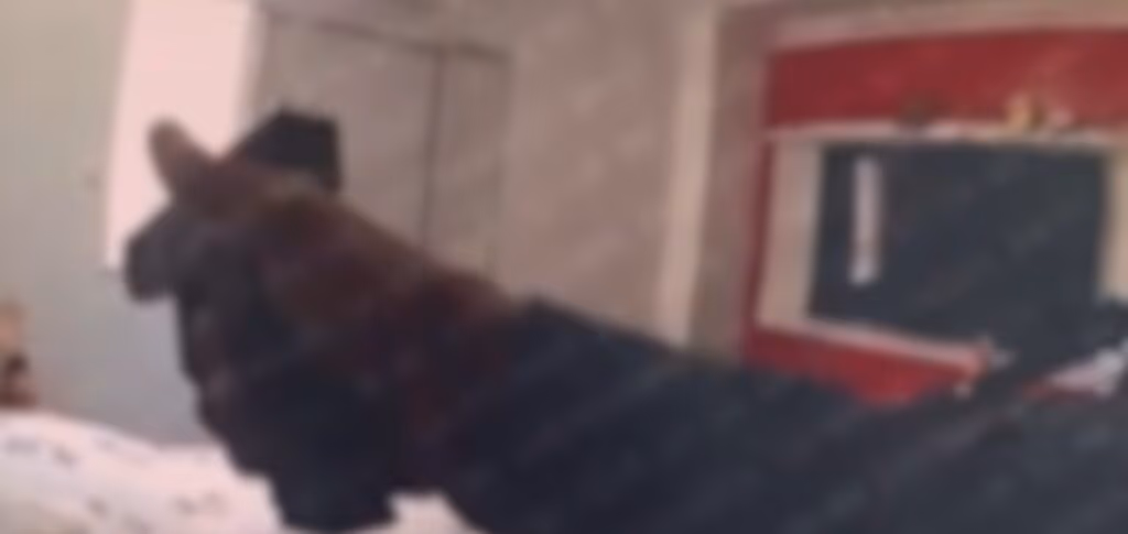 Câmera corporal mostra PM executando homem rendido em SP