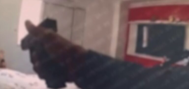 Imagem Item