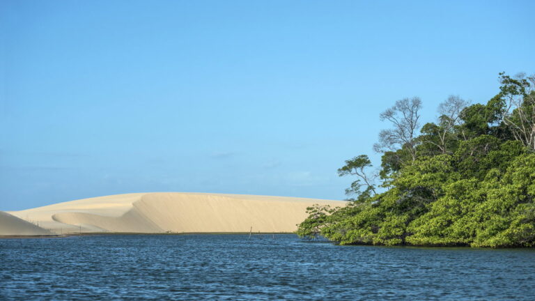 Imagem Destaque