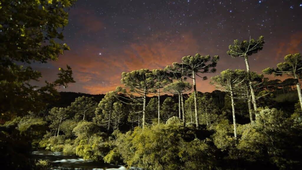 São José dos Ausentes encanta com frio, natureza e simplicidade contagiante