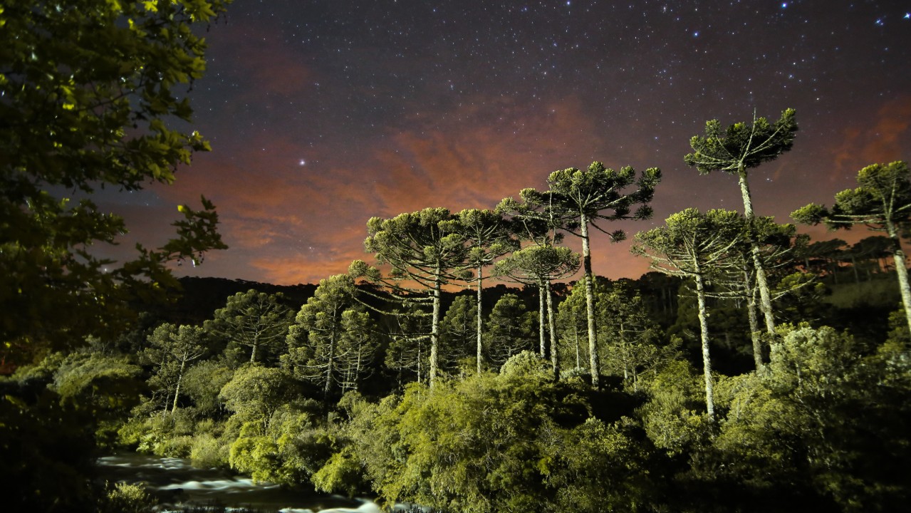 São José dos Ausentes encanta com frio, natureza e simplicidade contagiante
