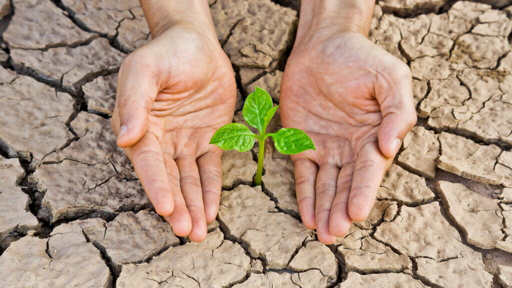 Terra já alcançou sua capacidade de regeneração em 2025.