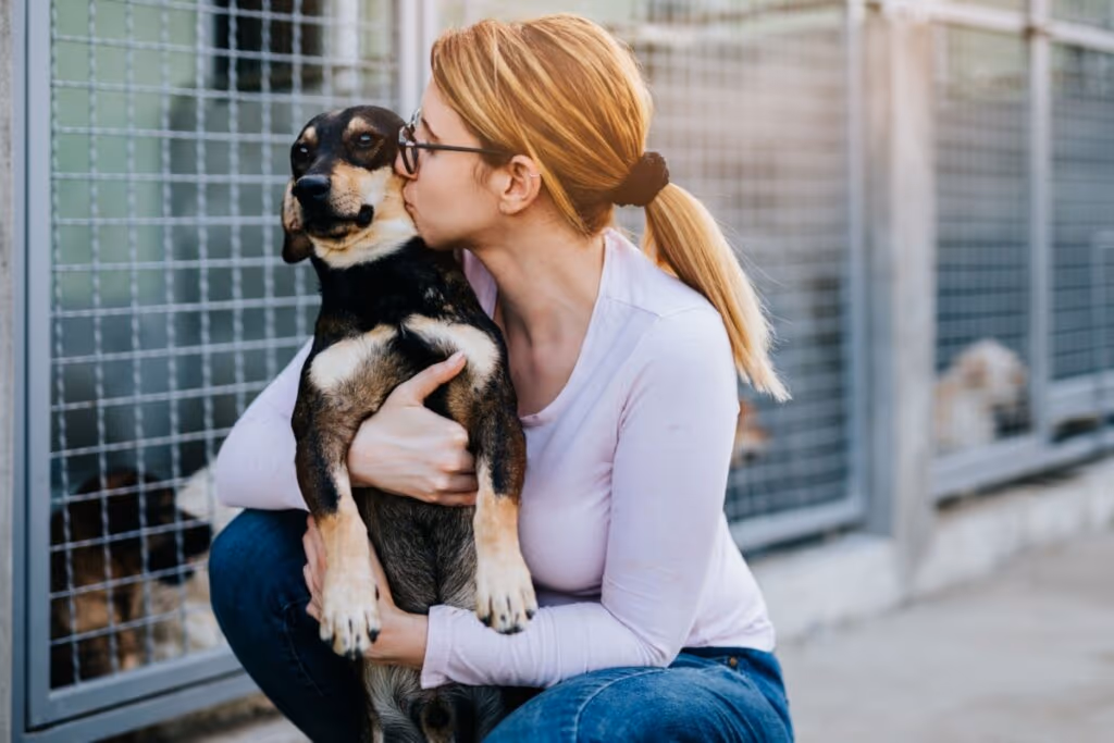 10 dicas para ajudar animais de rua 