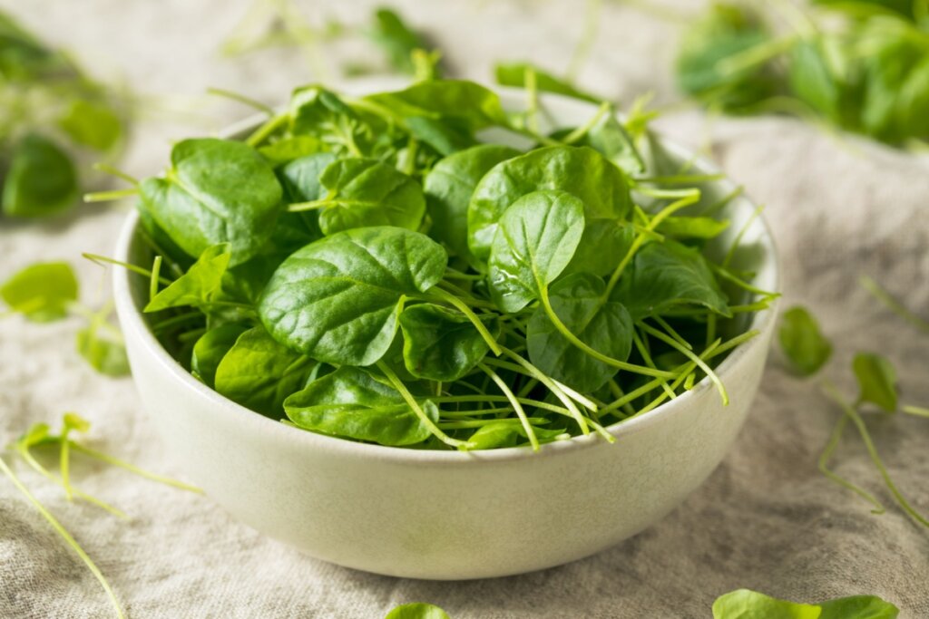 7 benefícios das folhas verdes para a saúde