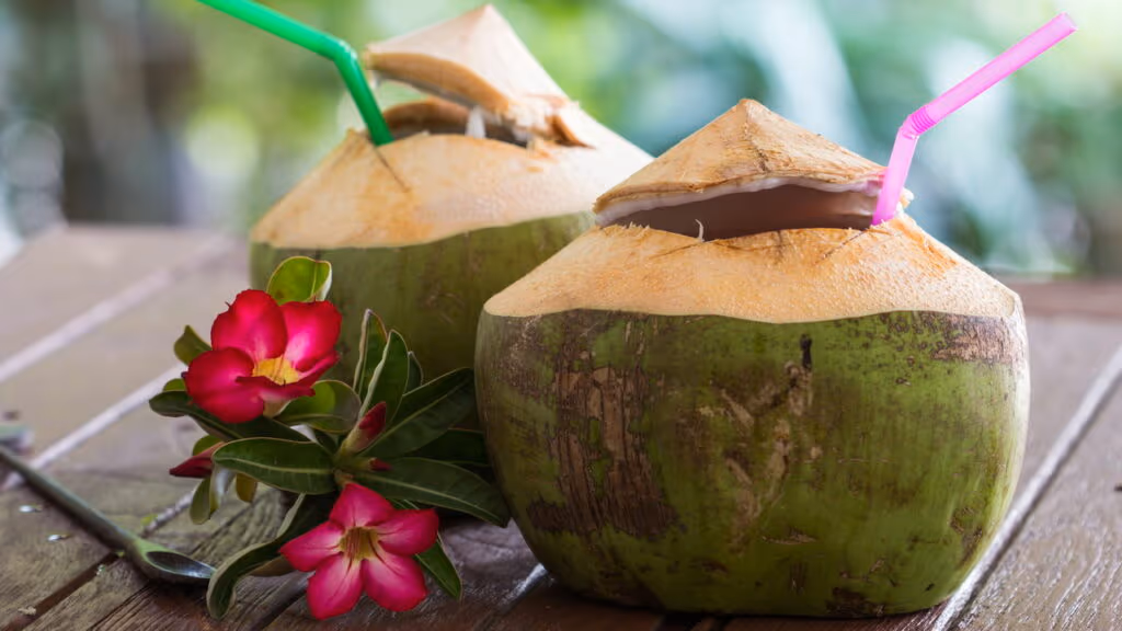 Dez benefícios da água de coco que vão além da hidratação e podem mudar sua alimentação