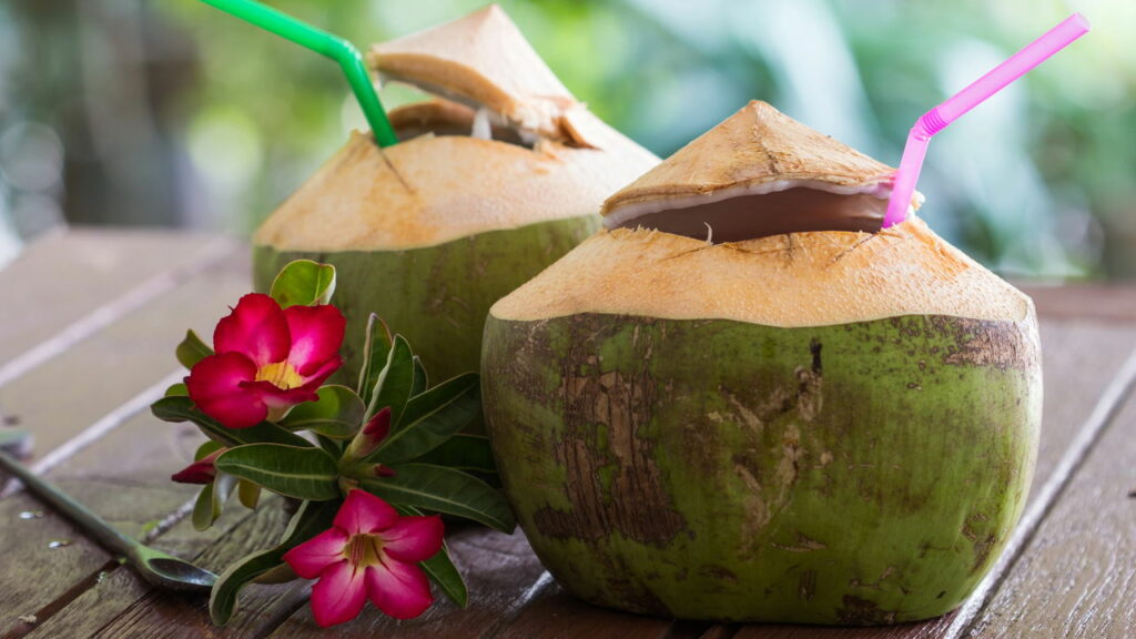 Dez benefícios da água de coco que vão além da hidratação e podem mudar sua alimentação
