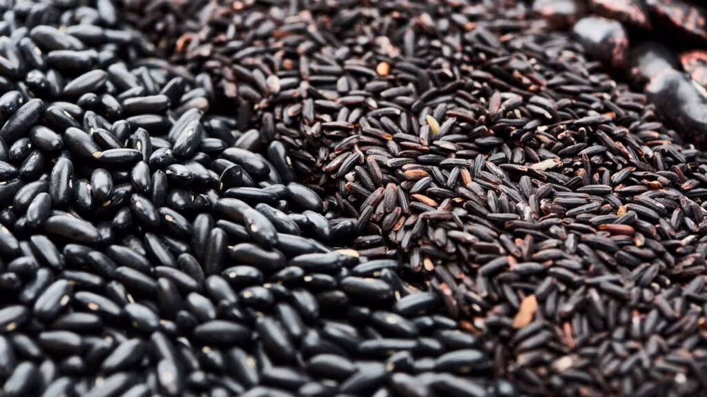 O arroz que virou febre entre nutricionistas e nem todo mundo conhece