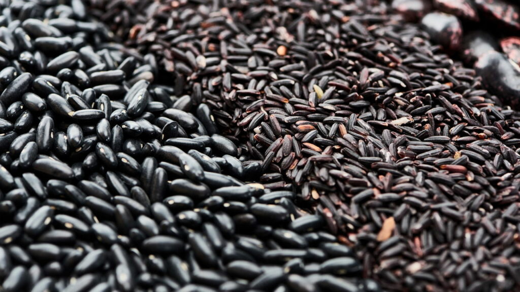 O arroz que virou febre entre nutricionistas e nem todo mundo conhece
