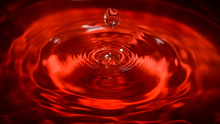 Imagem Item