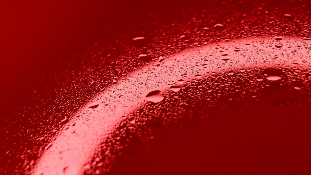 Como funciona a “chuva de sangue” que já foi registrada em diferentes países?