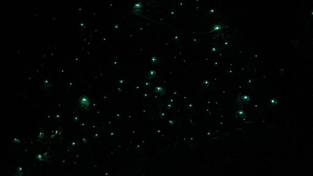 Por que algumas cavernas brilham naturalmente como se tivessem estrelas dentro?