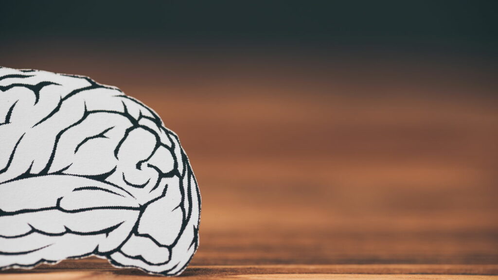 O que a ci&ecirc;ncia revela sobre o c&eacute;rebro em experi&ecirc;ncias de quase morte