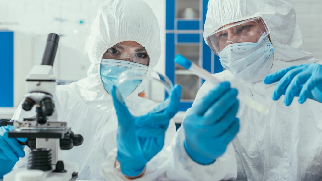 Cientistas descobriram planta capaz de curar queimaduras mais rápido que nunca