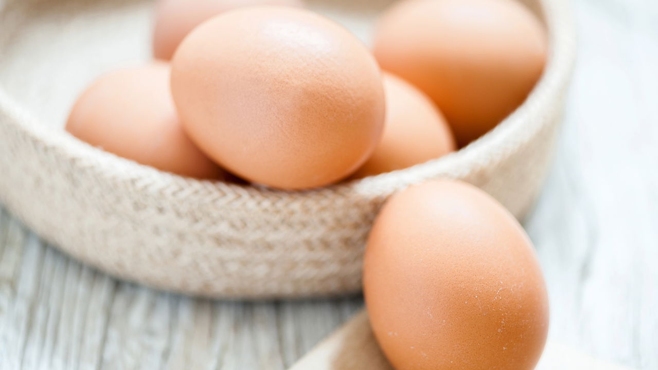 Ovo é proteína completa, acessível e cada vez mais presente na alimentação