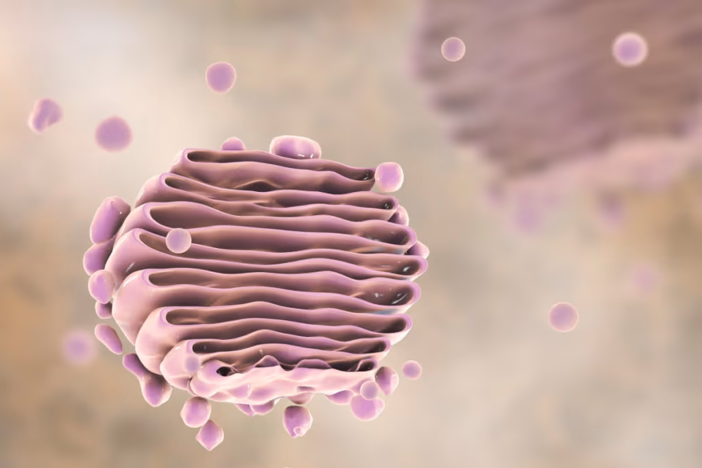 Aprenda os principais conceitos da biologia celular