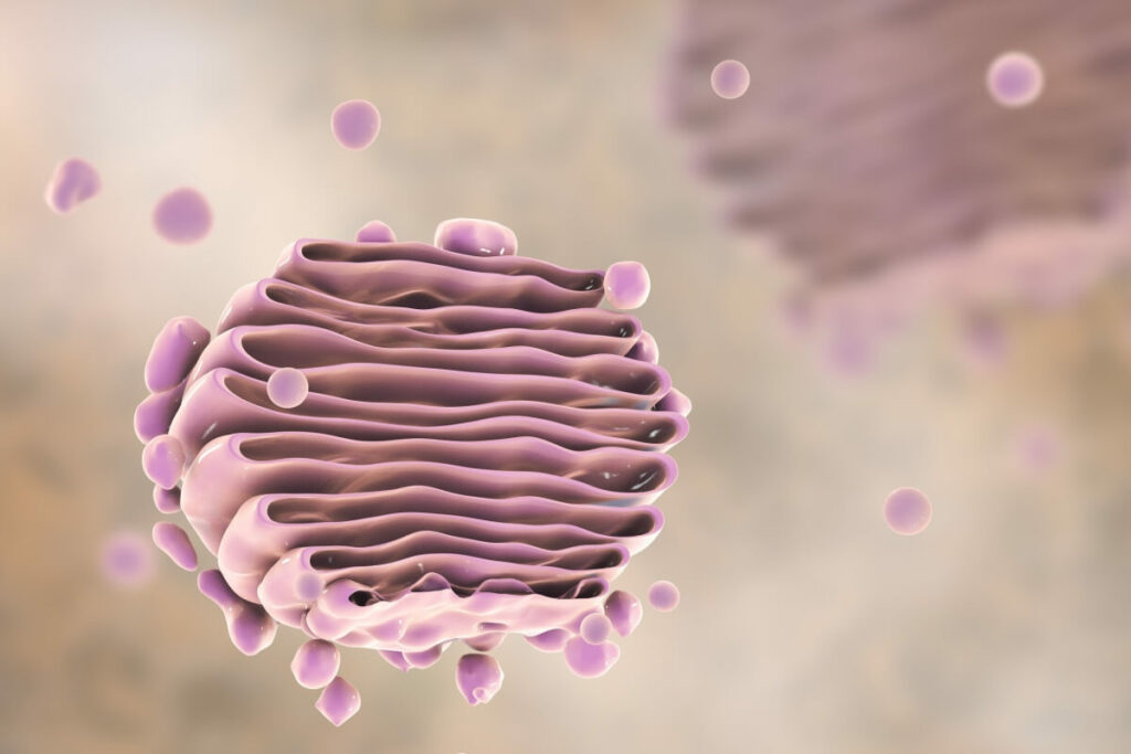 Aprenda os principais conceitos da biologia celular