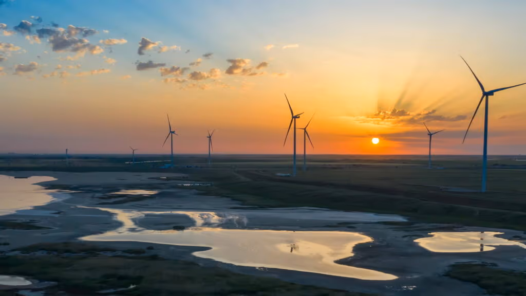 Passo a passo de como virar referência no mercado de consultoria ambiental