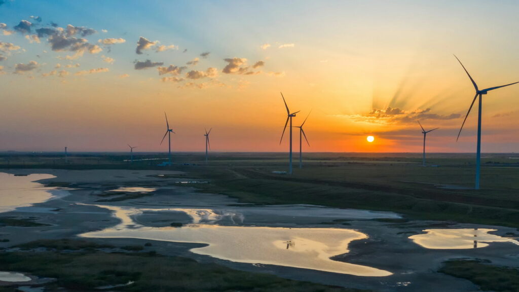 Passo a passo de como virar referência no mercado de consultoria ambiental