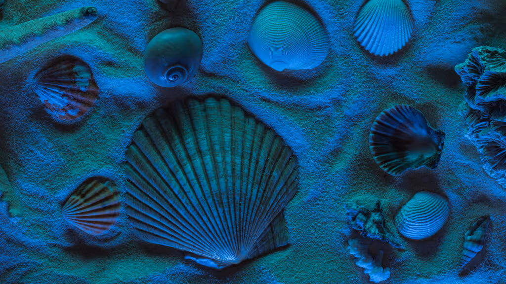 Por que alguns corais brilham no escuro? A química por trás das cores no fundo do mar