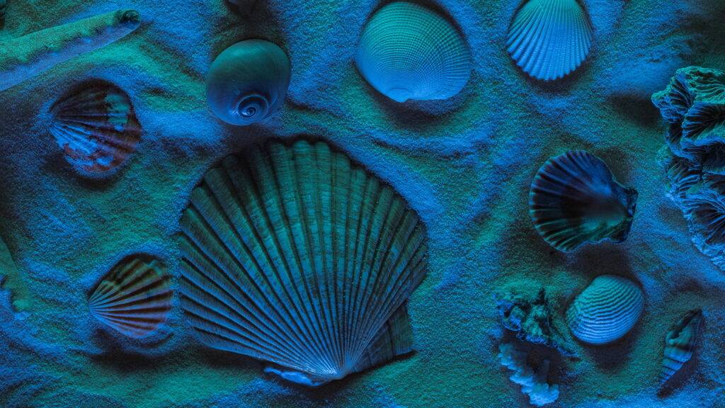 Por que alguns corais brilham no escuro? A química por trás das cores no fundo do mar